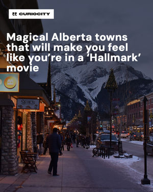 Image post by @curiocitycalgary on Instagram