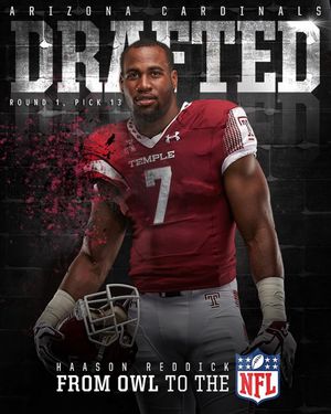 Image post by @templeowls on Instagram
