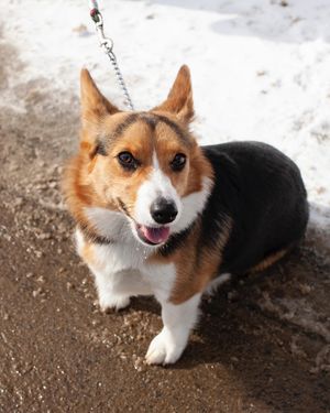 Image post by @kentshillschool on Instagram