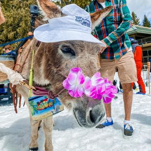 Image post by @winterparkresort on Instagram