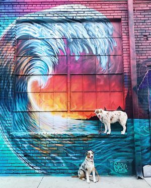 Image post by @denver on Instagram