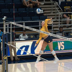 Image post by @calvolleyball on Instagram