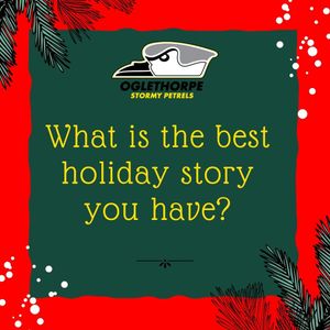 Image post by @gopetrelsvb on Instagram