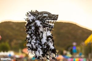 Image post by @nocturnalwland on Instagram