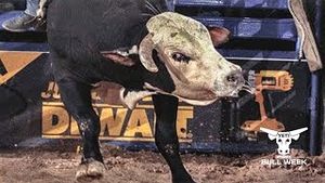 Video post by @pbr on YouTube