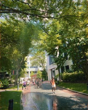 Image post by @northeastern on Instagram