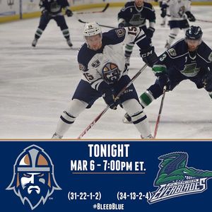 Image post by @swamprabbits on Instagram