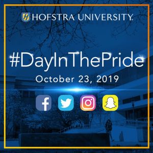 Image post by @hofstrau on Instagram