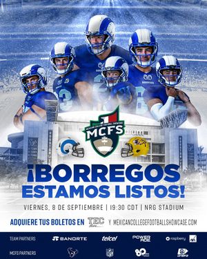 Image post by @borregostec on Instagram