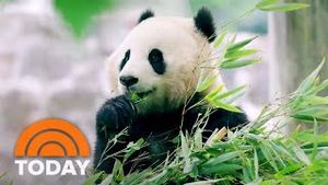 Video post by @today on YouTube