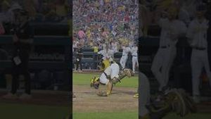 Video post by @thesavannahbananas on YouTube