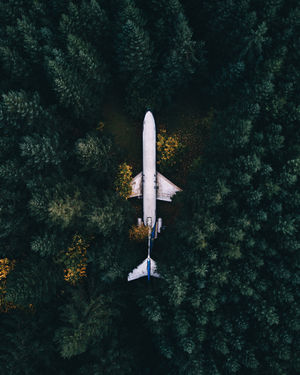 Image post by @slatertrout on Instagram