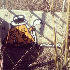 Image post by @chrishaven on Instagram
