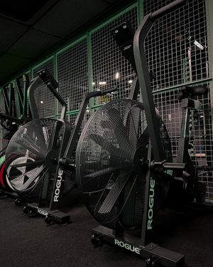 Image post by @roguefitness on Instagram