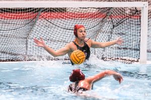 Image post by @indianawpolo on Instagram
