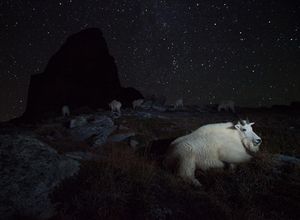 Image post by @discovery on Instagram