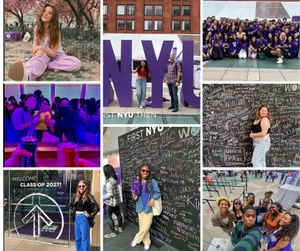 Image post by @meetnyu on Instagram