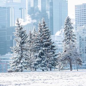 Image post by @cityofcalgary on Instagram