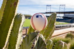Image post by @rockies on Instagram