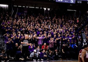 Image post by @nuwildside on Instagram