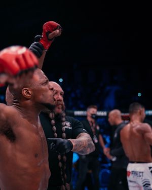 Image post by @bellatormma on Instagram