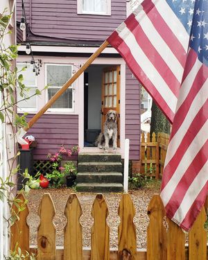 Image post by @thesavannahwolfhound on Instagram