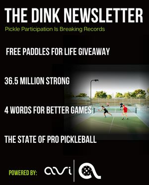 Image post by @thedinkpickleball on Instagram