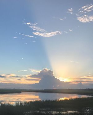 Image post by @kiawahresort on Instagram