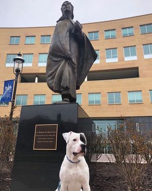 Image post by @setonhall on Instagram