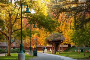 Image post by @sacstate on Instagram