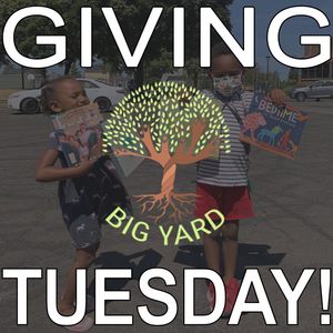 Image post by @thebigyard on Instagram