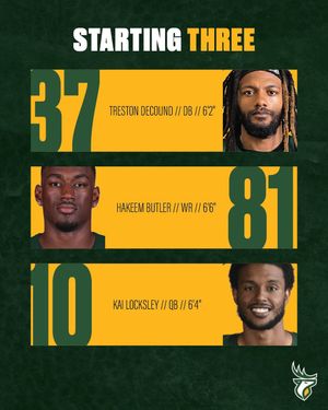 Image post by @goelks on Instagram