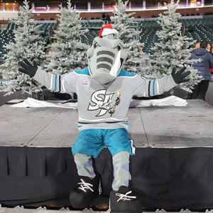 Image post by @sjbarracuda on Instagram