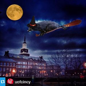 Image post by @gobearcats on Instagram