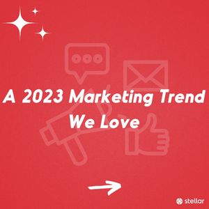 Image post by @stellaragency on Instagram