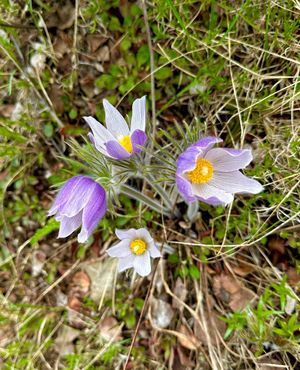 Image post by @arrowheadco on Instagram