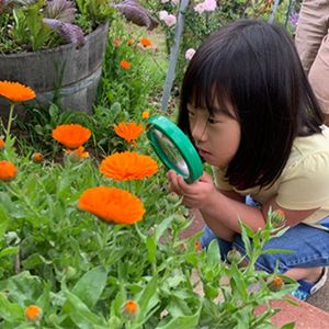 Image post by @kidsgardening on Instagram