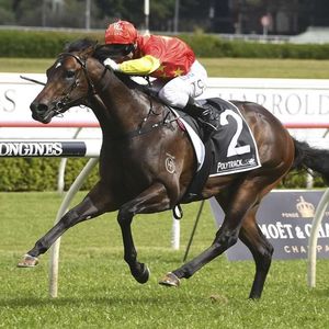 Image post by @australianturfclub on Instagram