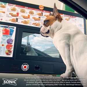 Image post by @sonicdrivein on Instagram