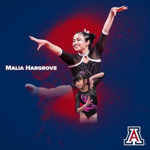 Image post by @arizonagymcats on Instagram