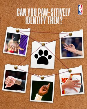 Image post by @nbaindia on Instagram