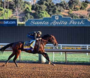 Image post by @thebloodhorse on Instagram