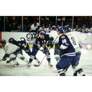 Image post by @swamprabbits on Instagram
