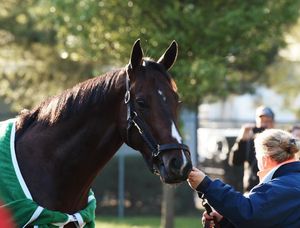 Image post by @spendthriftfarm on Instagram