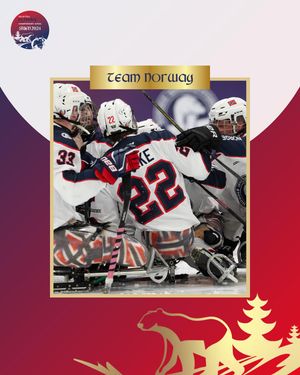 Image post by @paraicehockey on Instagram