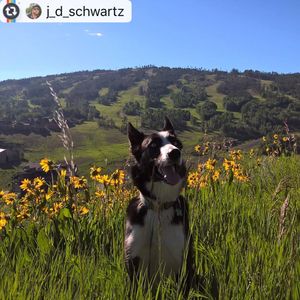 Image post by @granbyranch on Instagram