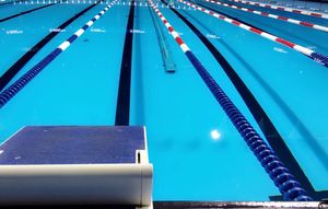 Image post by @arenausa on Instagram