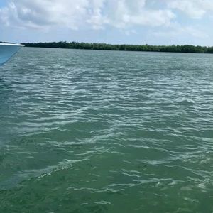 Image post by @markyberta on Instagram