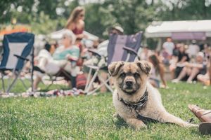 Image post by @muscornernash on Instagram