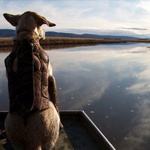 Image post by @meateater on Instagram